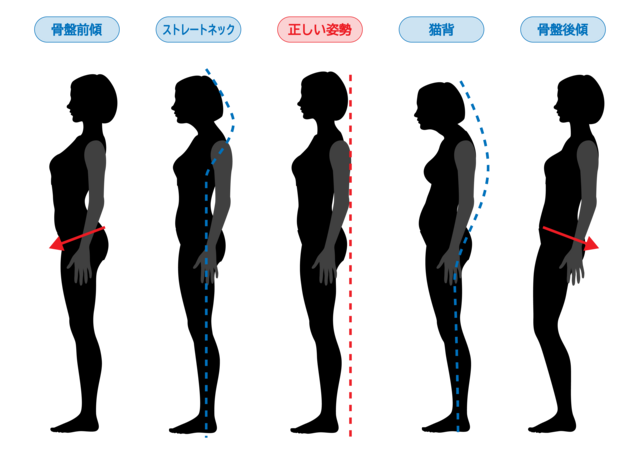 姿勢